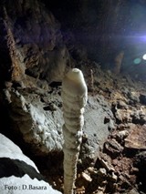 Stalagmit. Foto: D.Basara