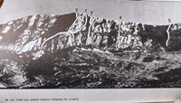 Rokijev smjer (broj 1)