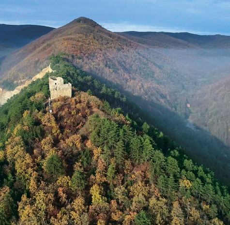Papuk – vrh Lapjak

