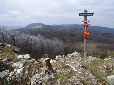 Papuk – vrh Ivačka glava 
