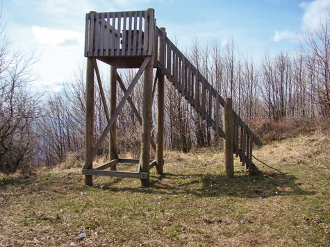 Papuk – vrh Češljakovački vis 
