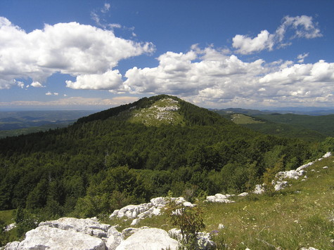 Ćićarija – vrh Veliki Planik 
