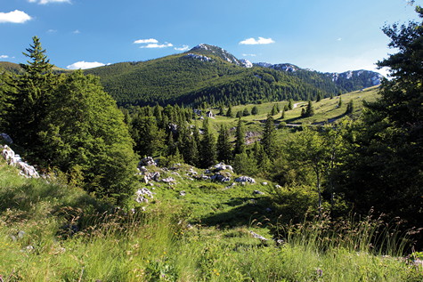 Veliki Zavižan – vrh 
