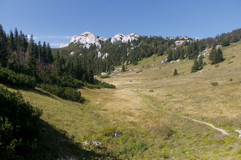 Balinovac – vrh 
