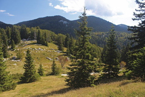 Veliki (Zavižanski) Pivčevac 

