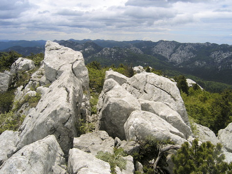 Mali Rajinac – vrh 
