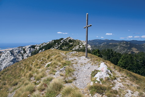 Ljubičko brdo – vrh 
