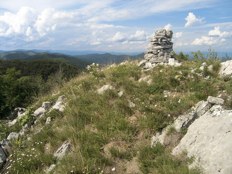 Metla – vrh 
