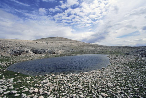 Pag – vrh Sveti Vid 
