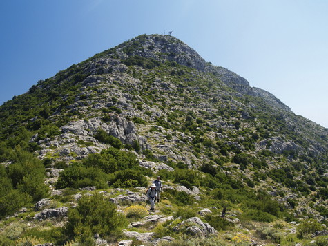 Mljet – vrh Velji grad (Veliki grad)
