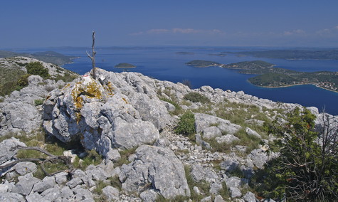 Dugi otok – vrh Orljak 

