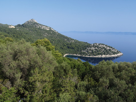 Lastovo – vrh Sozanj 
