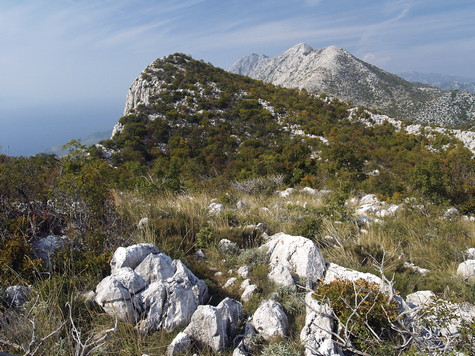 Drveničke stine – vrh Sokolić 
