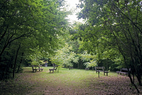 Bilogora – Stankov vrh 
