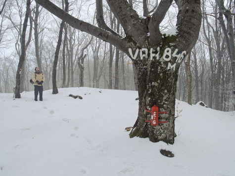 Strahinjščica – vrh Sušec 
