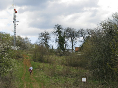 Cesargradska gora – vrh Japica 
