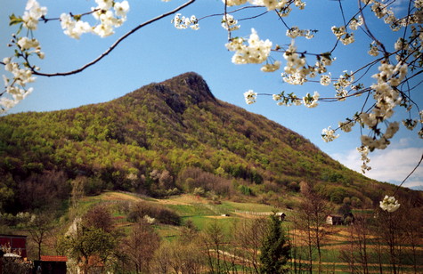 Ivanščica – vrh Čevo 
