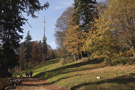 Sljeme – vrh 
