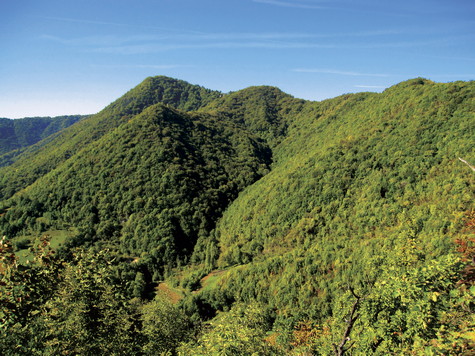 Oštrc – vrh 
