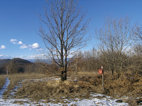 Noršićka Plešivica – vrh 
