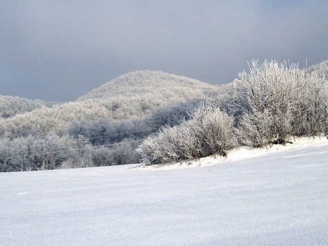 Veliki Lovnik – vrh 
