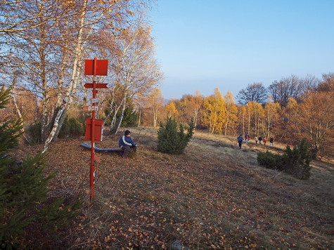 Pliješ – vrh 
