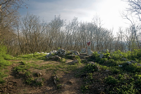 Vinica – vrh 
