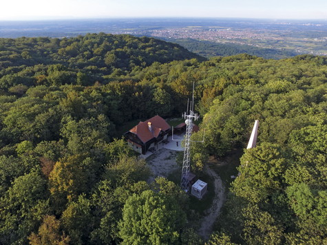 Hrastovička gora – vrh Cepeliš 
