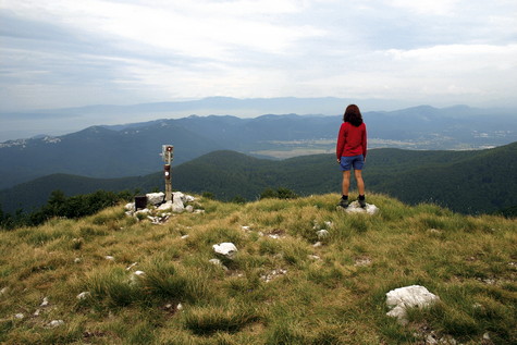 Viševica – vrh 
