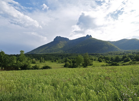 Klek – vrh
