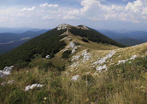 Bjelolasica – vrh Kula 
