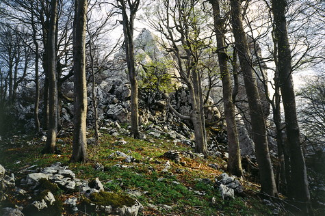 Kolovratske stijene – vrh 

