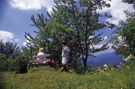 Špičasti vrh 
