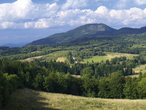 Skradski vrh 
