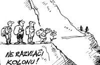 (karikatura: Senaid Serdarević)