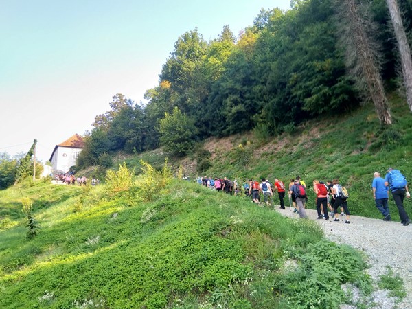 Kolona sudionika