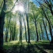 Akcija Ne ostavljaj tragove - Predloži slogan