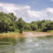 Rezervat biosfere Mura - Drava - Dunav