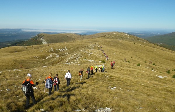 Žbevnica, Sergio Težak