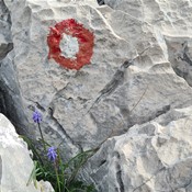 Najava tečaja čuvara planinske prirode i novosti iz Komisije