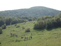 Idemo na cijelodnevni izlet