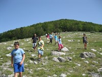 Prema snježnici