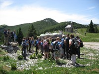 Geološki stup