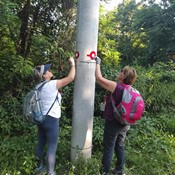 Obnova staza na Požeškoj i Babjoj gori