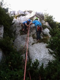 risnjak