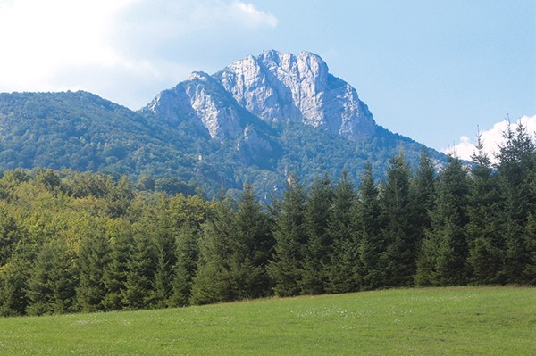 Slika.
