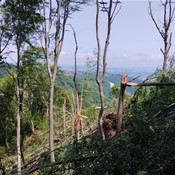 Štete od olujnih nevremena na planinarskoj infrastrukturi