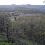 Neprohodnost staza na Požeškoj i Babjoj gori