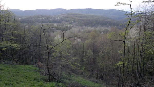 Slika.