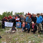 Drveničke stine